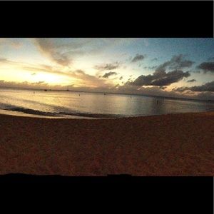 Meet your Posher, Lily